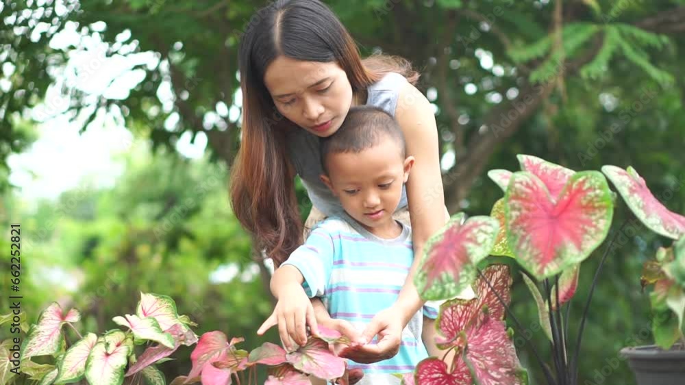 Mother teaching children to take care of plants Mother teaching children to take care of plants