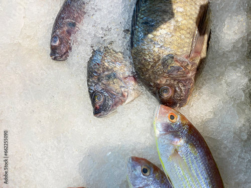 Fresh fish on ice for sale in supermarkets photo