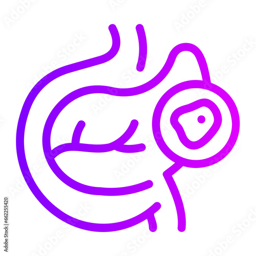 pancreas gradient icon
