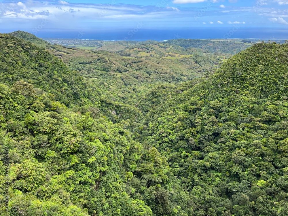 Panorama over forest from waterfall 500 Pieds in Mauritius
