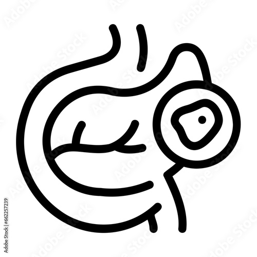 pancreas line icon