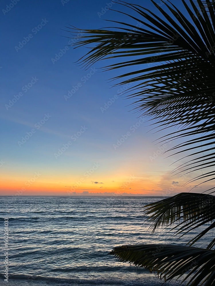 Colorful sky after sunset over blue waters of Mauritius and leaves of palm tree