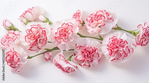 Carnation connection: Pink and white carnations, symbolizing pure love and affection. 