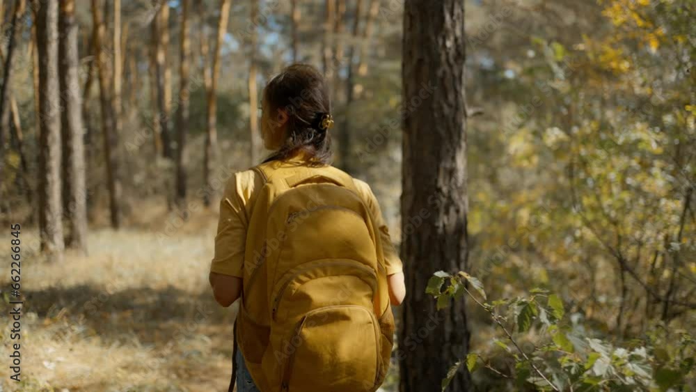Woman tourist walks on trail in fall forest on sunny autumn day. female hiker with yellow backpack hiking in forest around mountain lake at sunny morning, adventure outdoor lifestyle. Woman tourist walks on trail in fall forest on sunny autumn day. female hiker with yellow backpack hiking in forest around mountain lake at sunny morning, adventure outdoor lifestyle.