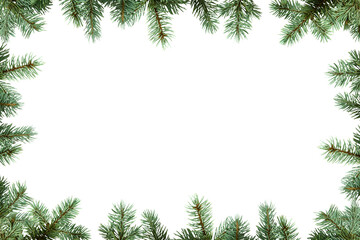 Frame of Christmas tree branches in PNG isolated on transparent background, border