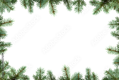 Frame of Christmas tree branches in PNG isolated on transparent background, border