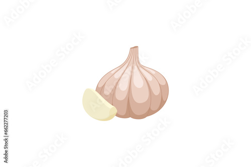 garlic vector illustration isolated on white background, kitchen spice flat style design