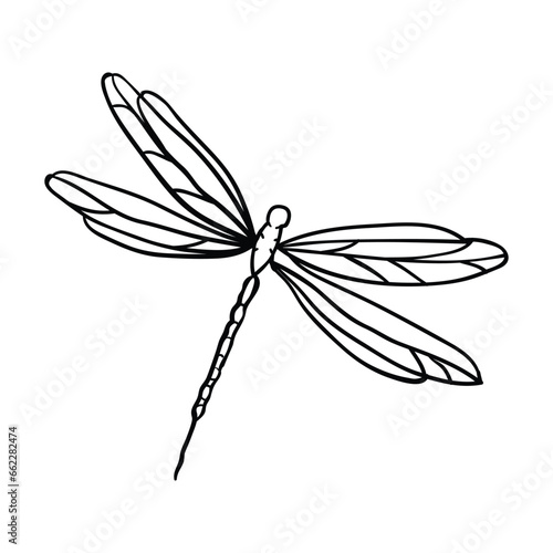 Hand drawing style of dragon fly vector. It is suitable for insect icon, sign or symbol.