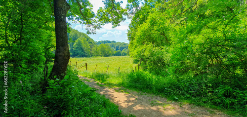 Wiesen in der Eifel zum Wandern – Naturparadies und Erholung in Deutschland