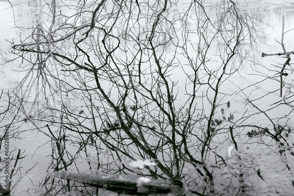 abstract water and nature reflection black and white abstract water and nature reflection black and white