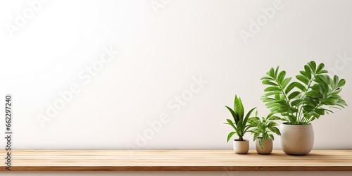 Minimalist living. White infused interior space. Nature touch. Modern wooden table with elegance and life. Contemporary comfort. Empty well lit room with green botanical vibes