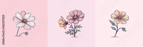 cosmos flower vector clip art illustration