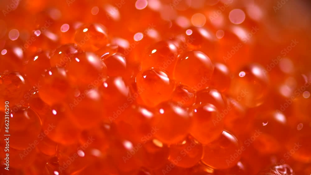 Red Caviar rotating background. Close-up salmon caviar rotation. Delicatessen. Texture of caviar. Backdrop. Seafood. Red Caviar rotating background. Close-up salmon caviar rotation. Delicatessen. Texture of caviar. Backdrop. Seafood.