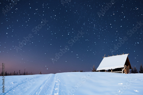 landscape of a winter forest, starry sky and a small cozy house. AI GENERATE © ibragimova