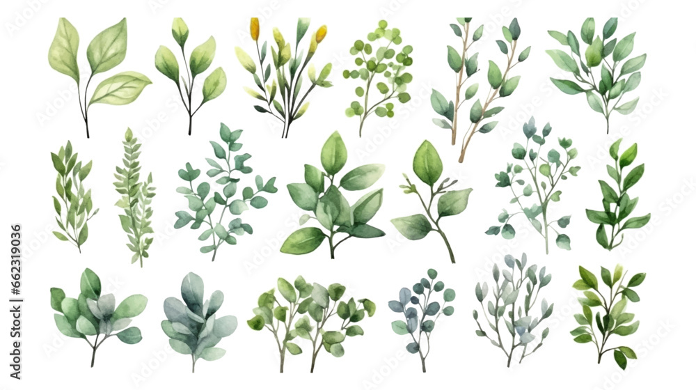 Vector elements set collection of tropical green eucalyptus in Watercolor style. Illustration for cosmetics, spa, beauty care products, Wedding Invitation, save the date, thank you, greeting card. Vector elements set collection of tropical green eucalyptus in Watercolor style. Illustration for cosmetics, spa, beauty care products, Wedding Invitation, save the date, thank you, greeting card.
