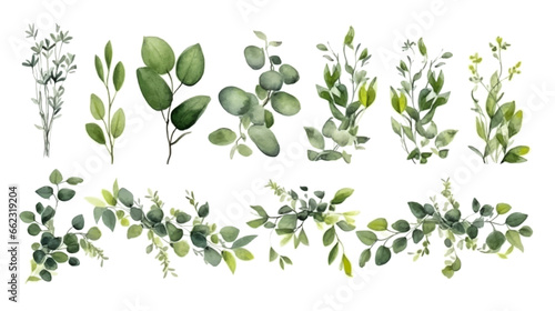 Vector elements set collection of tropical green eucalyptus in Watercolor style. Illustration for cosmetics, spa, beauty care products, Wedding Invitation, save the date, thank you, greeting card.