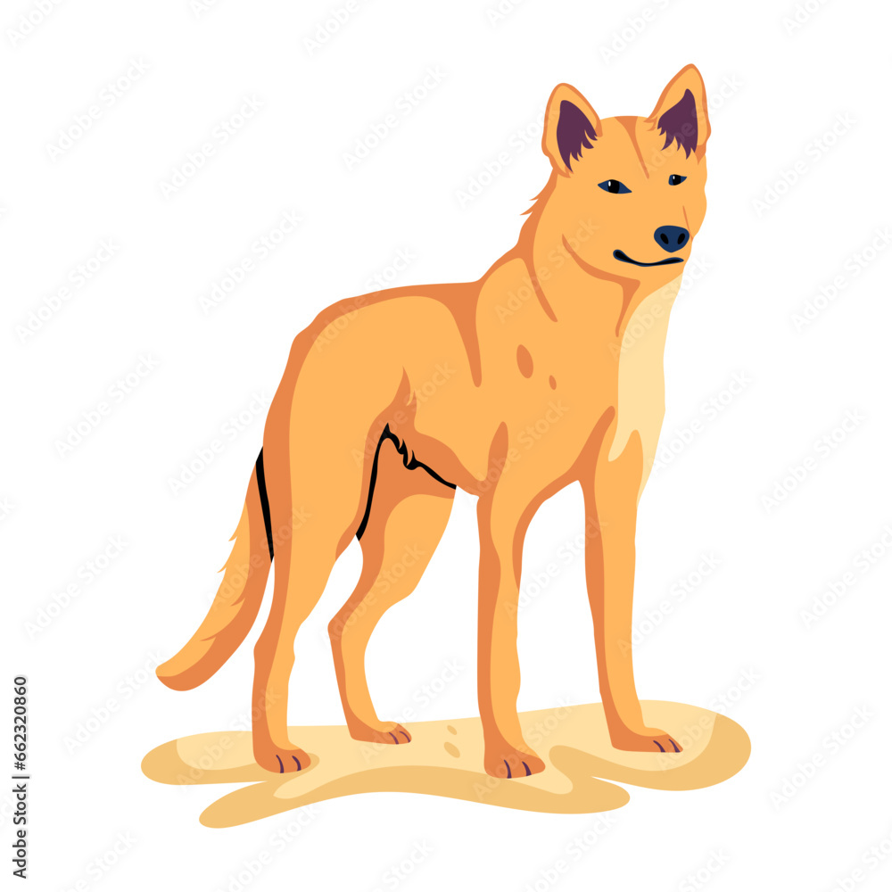 Desert Fox Desert Fox