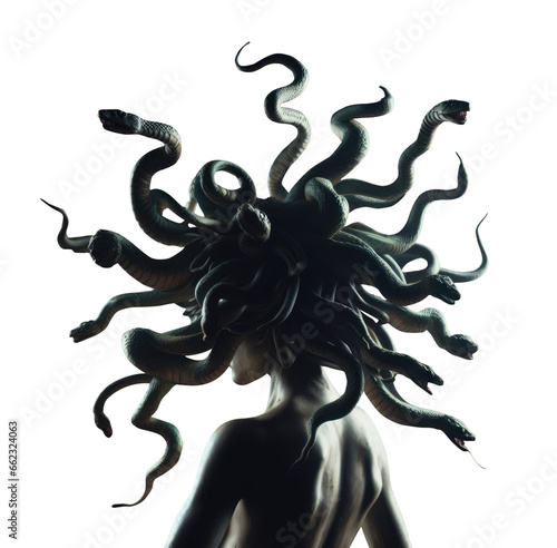 back view, rear view of Medusa Greek mythology queen, princess, goddess. Isolated transparent background. Silhouette. photo