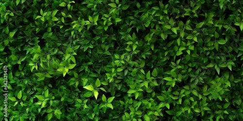 photo of green leaves spreading evenly across the fence. generative AI