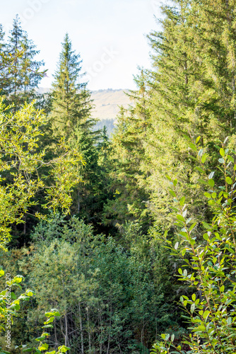 Herbstzeit in der Schweiz