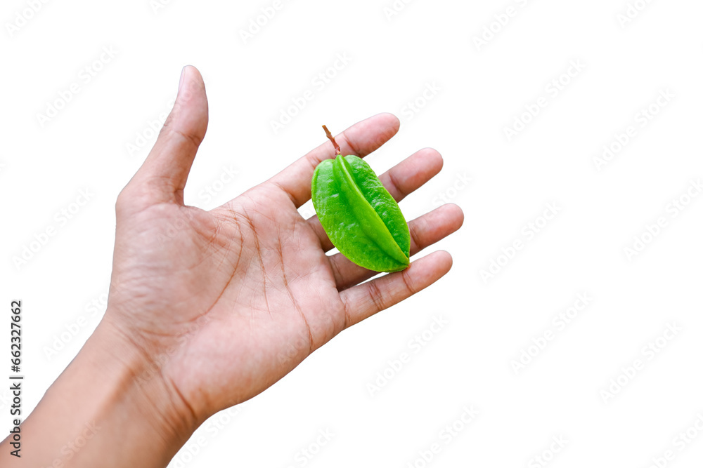 Healthy fresh food on the hand isolated on white. whole exotic green carambola fruit on hand. Star fruit Healthy fresh food on the hand isolated on white. whole exotic green carambola fruit on hand. Star fruit