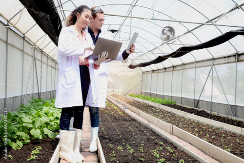 Wall Mural Botanist scientist woman and man in lab coat work together on experimental plant plots, two biological researchers hold laptop and tablet while discuss on science experiment with plant in greenhouses