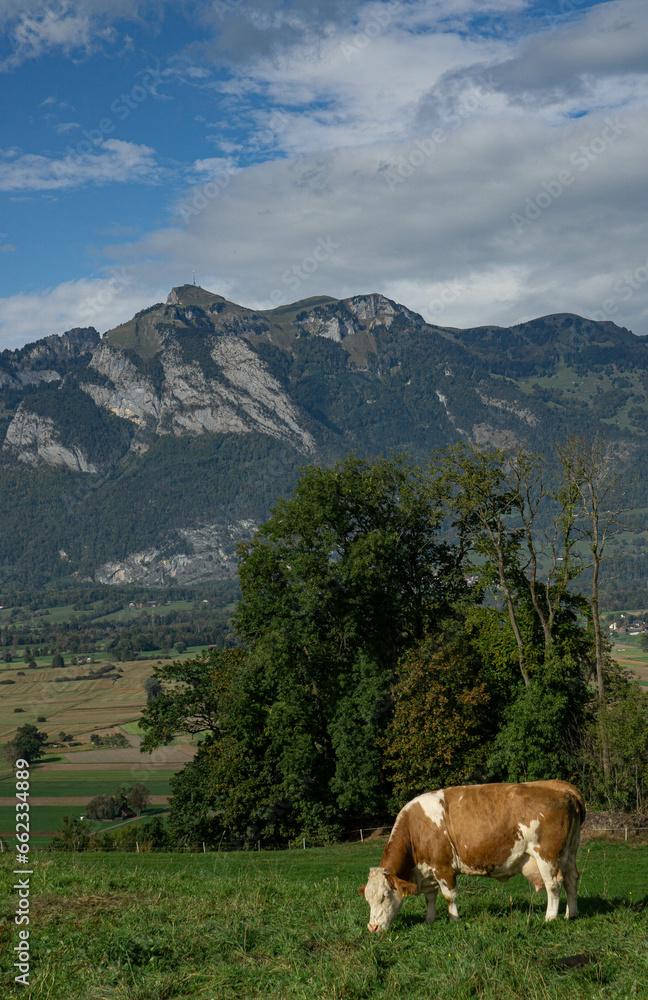 Herbstliche Wolkenstimmung um den Hohen Kasten, mit Blick auf das Rheintal