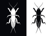 Mole cricket logo. Isolated mole cricket on white background