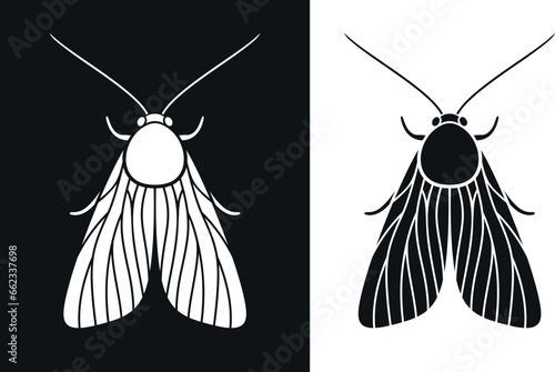 Moth logo. Isolated moth on white background photo