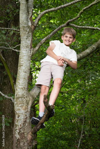 Smiling scandinavian boy sitting in a tree in the woods