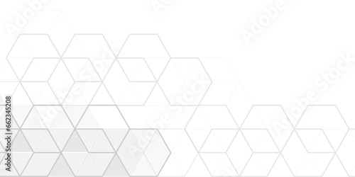 White background hexagon pattern , abstract elements design. Linear geometric drawing. Vector illustration.