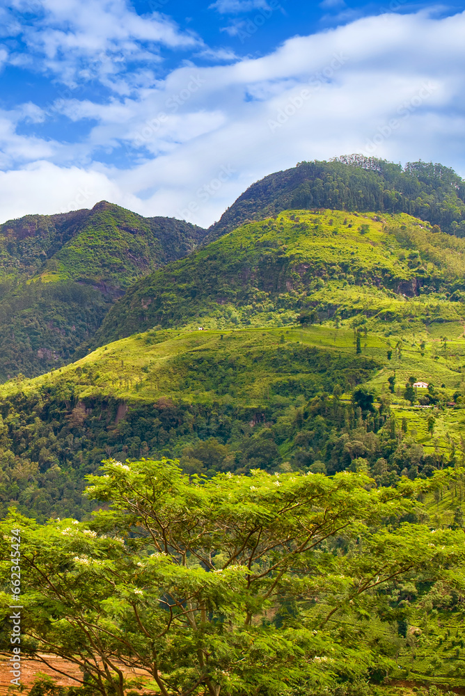 Obraz premium Tropical forest and rural landscape on the slopes of picturesque mountains. Vertical photo.