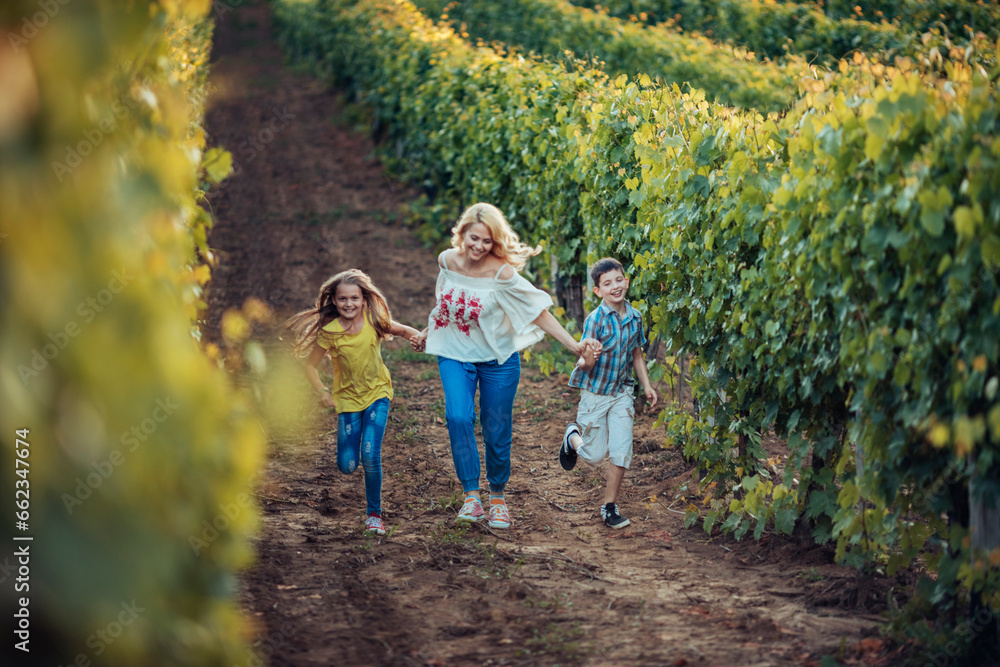 Young family walking through a vineyard on a sunny day