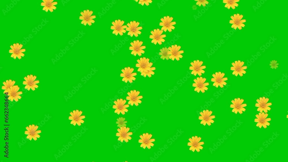 An animated video of scattered flowers is suitable for a romantic theme. An animated video of scattered flowers is suitable for a romantic theme.