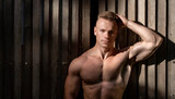 A shirtless blond Fitness model man