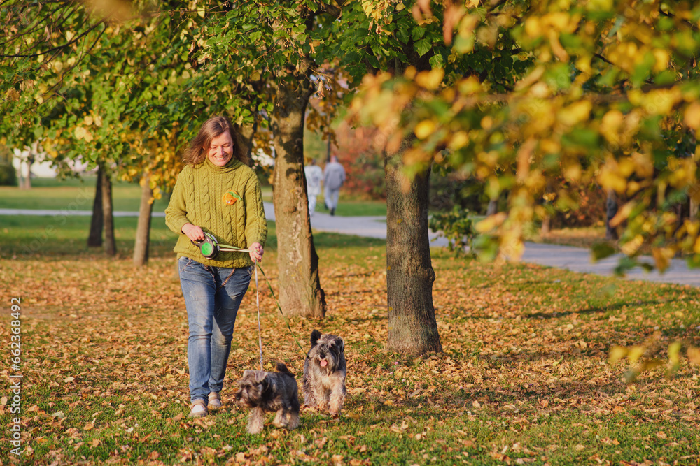 Mature woman walking with her dogs in the park on an autumn evening