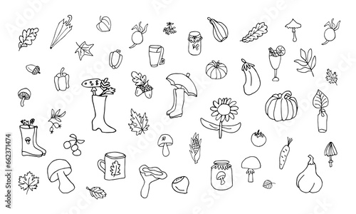 Autumn doodle set. Hand drawn autumn vector illustration. Pumpkins  vegetables  tea.