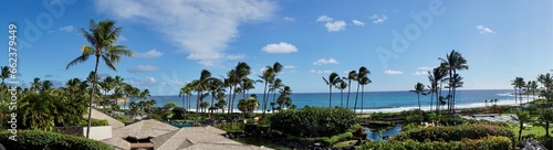 Tropical Palm Trees Ocean Views