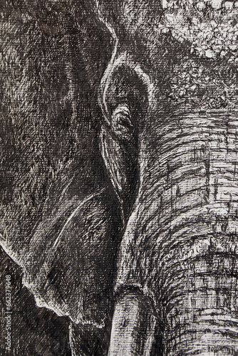 Big african elephant - illustration. A detailed drawing of a lone elephant is drawn by a liner