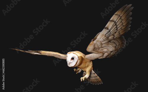 3d Illustration of a barn owl poses isolated on a black background with clipping path.