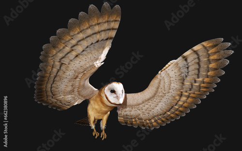 3d Illustration of a barn owl poses isolated on a black background with clipping path.