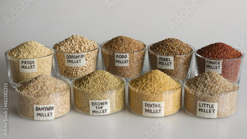 A single image showing all nine millets. Millets are arranged in bowls that are labelled. photo