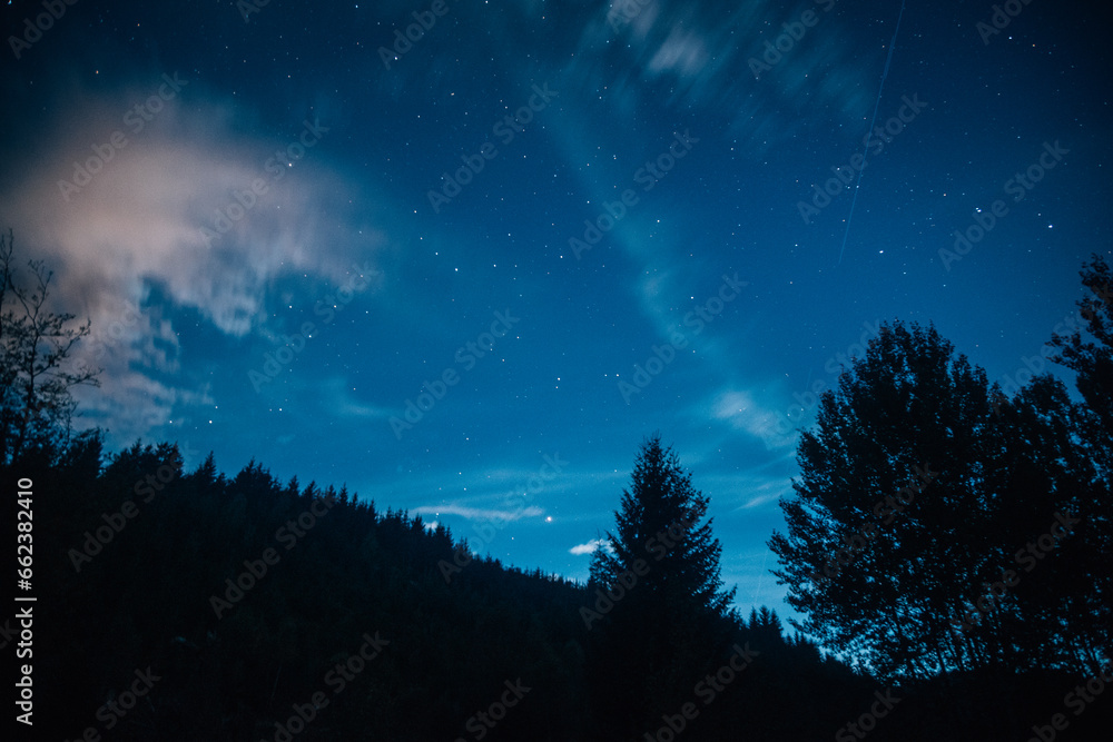 Vivid sparkling stars shine in the night sky as white clouds move along the trees in a valley