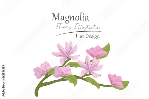 magnolia flower illustration. flat design.