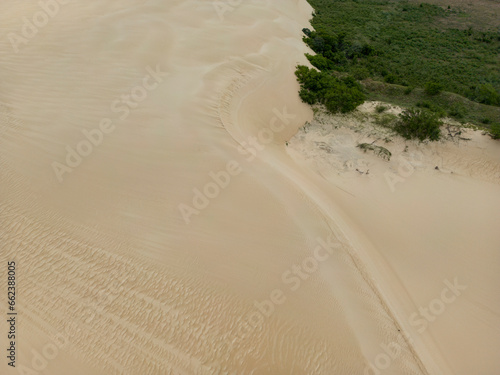 Close up of the sand dunes at the landscape protection area  Lomas de Arena  near Santa Cruz de la Sierra in the lowlands of Bolivia - Traveling and exploring South America