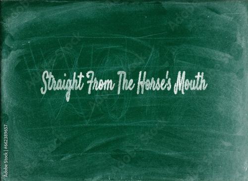 Straight From The Horse's Mouth Essential Business English Phrases and Idioms