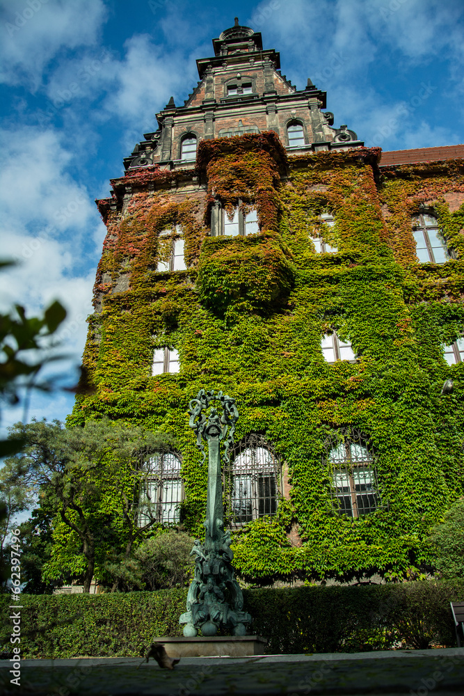 Fototapeta premium Old building completely covered with ivy, ecological house