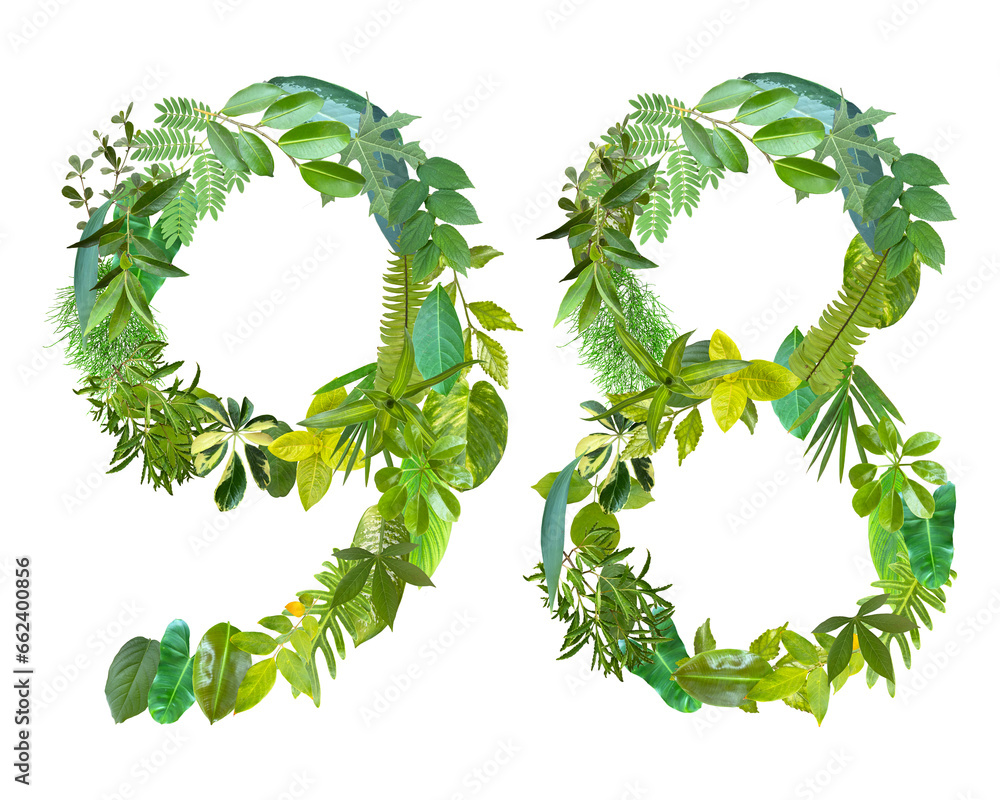 The shape of the number 98 is made of various kinds of leaves isolated