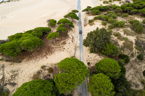 The road in the Duna de Valdevaqueros ( The Valdevaqueros Dune ) white sand dunes in Tarifa, Spain. photo