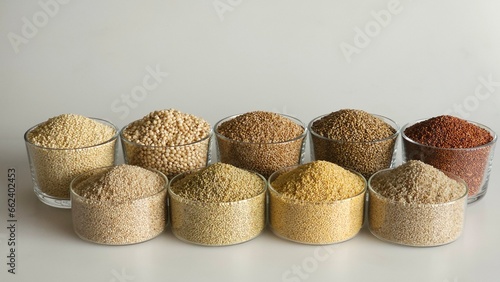 A single image showing all the nine millets. Millets filled in bowls to the brim arranged in 2 rows photo